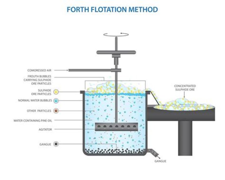Are concentrated by froth flotation process?