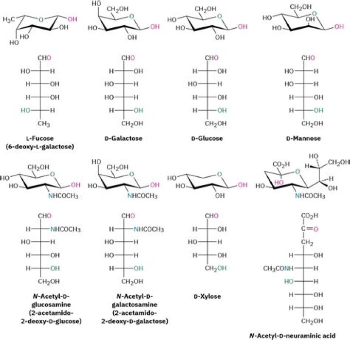 Are mannose and galactose diastereoisomers?