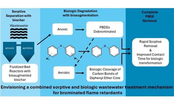 Are polybrominated diphenyl ethers safe?