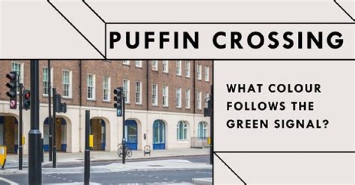 At a puffin crossing what follows green?