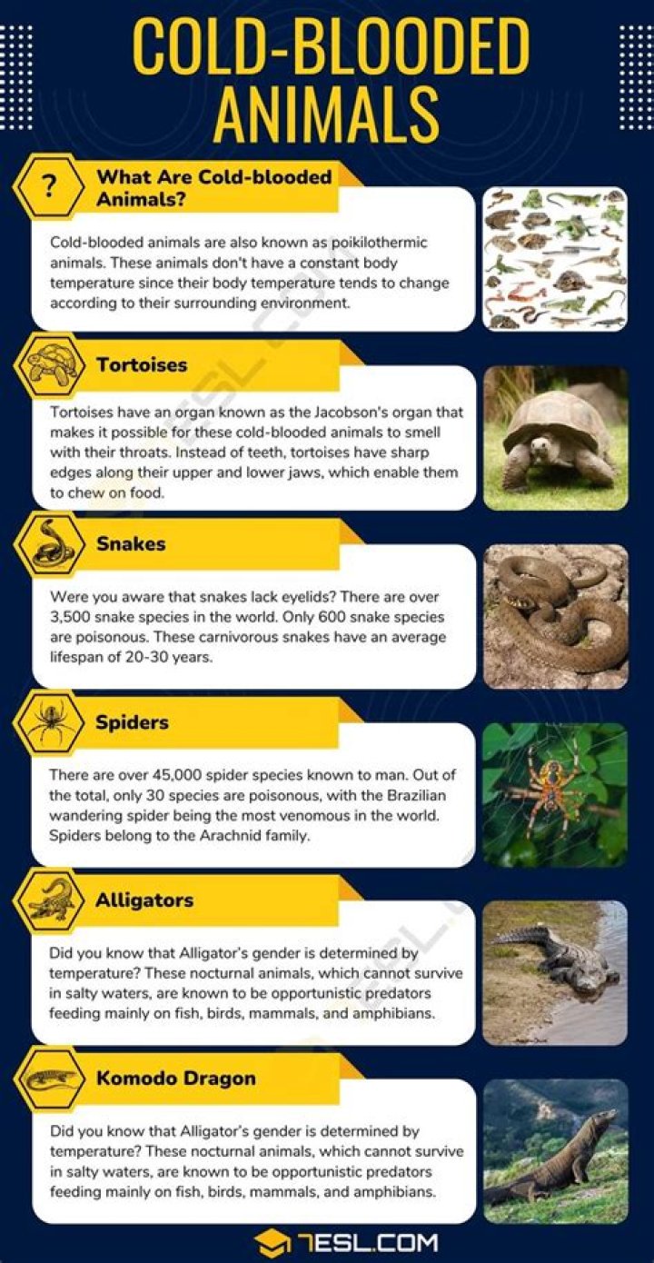 Can cold blooded animals overheat?