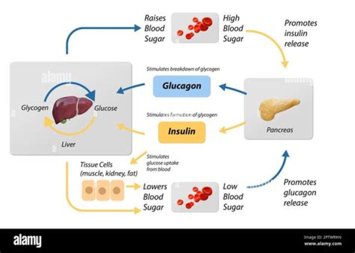 Can you eat glucose?