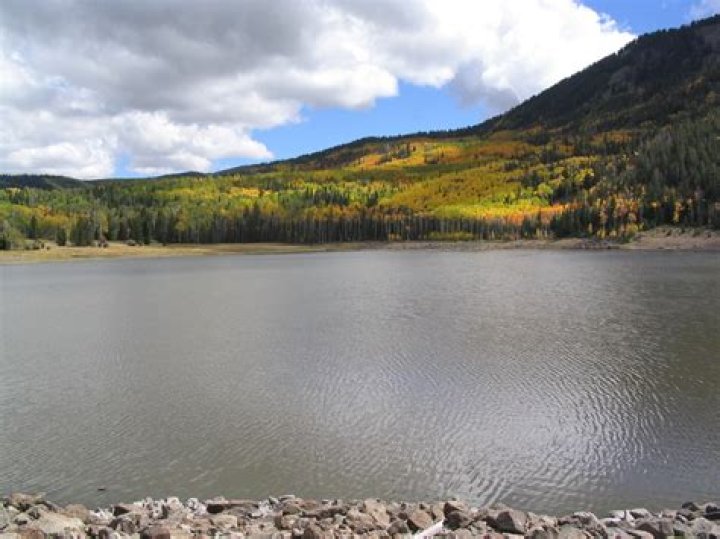 Can you swim in kingsley lake?