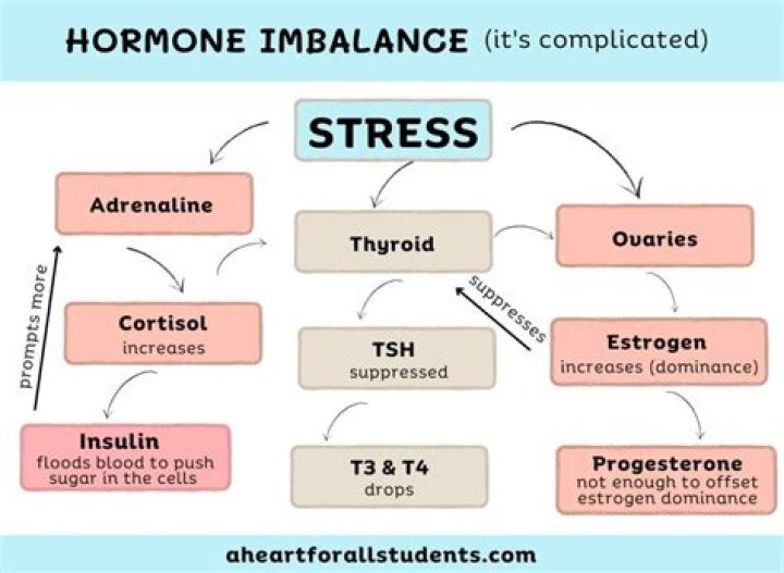 Could hormone imbalance cause anxiety?