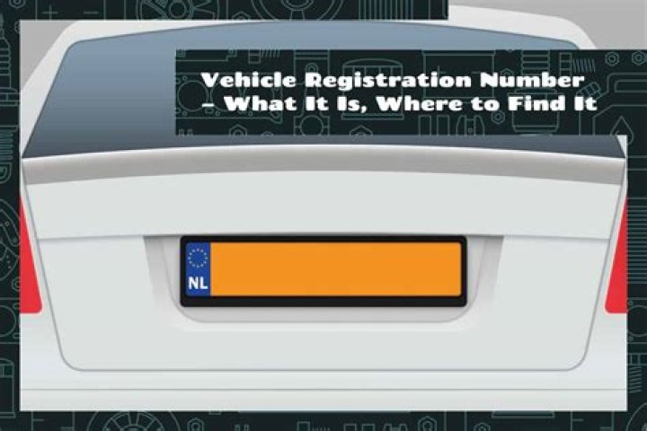 Did nc extend vehicle registration?