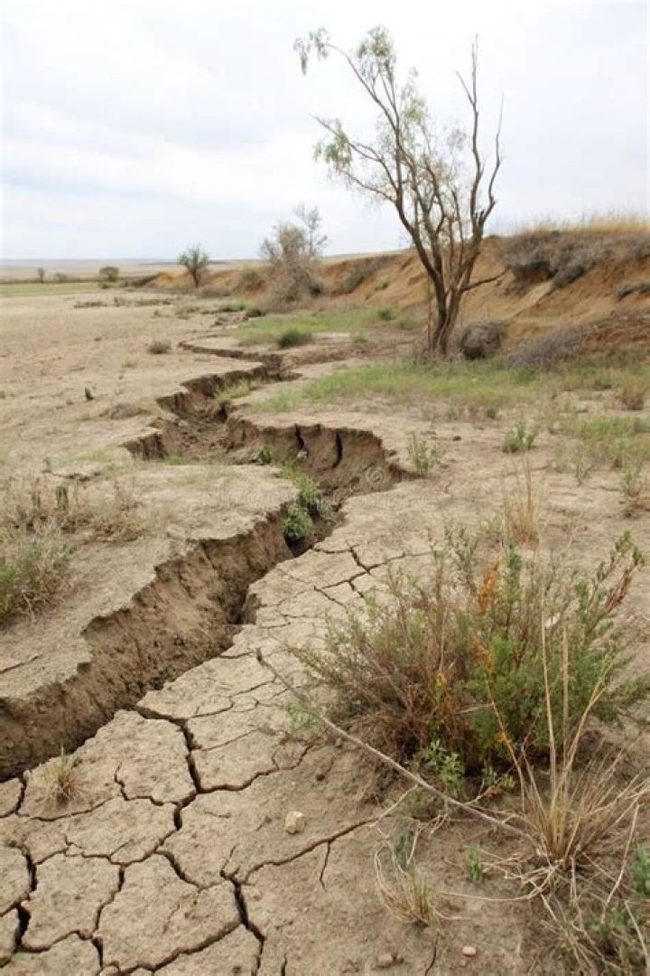 Does overgrazing cause desertification?