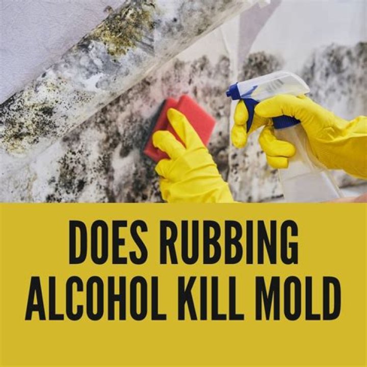 Does rubbing alcohol kill germs?
