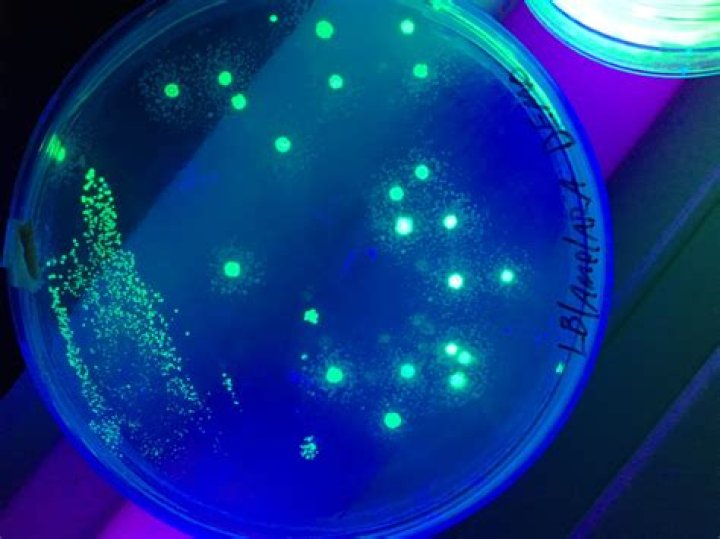 Does tide have fluorescing agents?