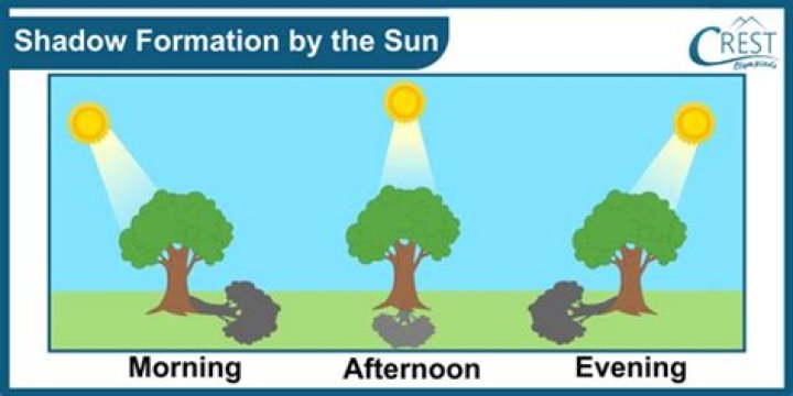 During the day shadows change in?