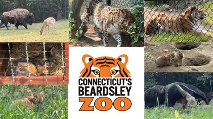How big is beardsley zoo?