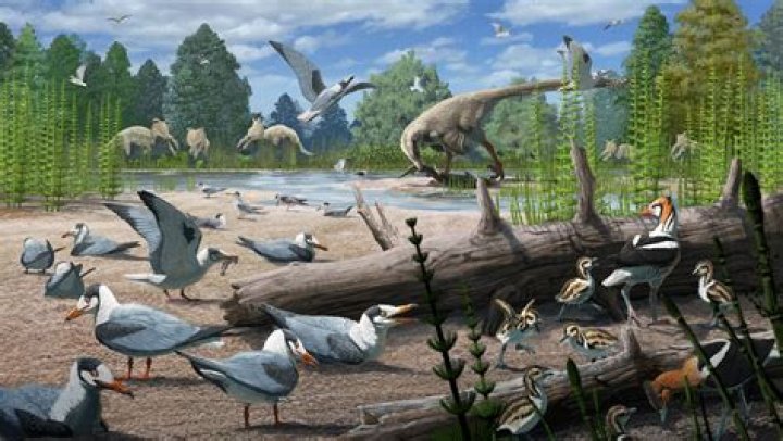 How did cretaceous period end?