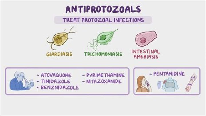How do antiprotozoal drugs work?