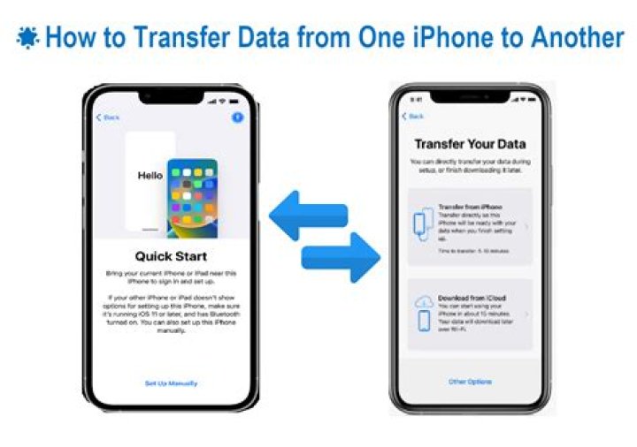 How to transfer s pass to another company?