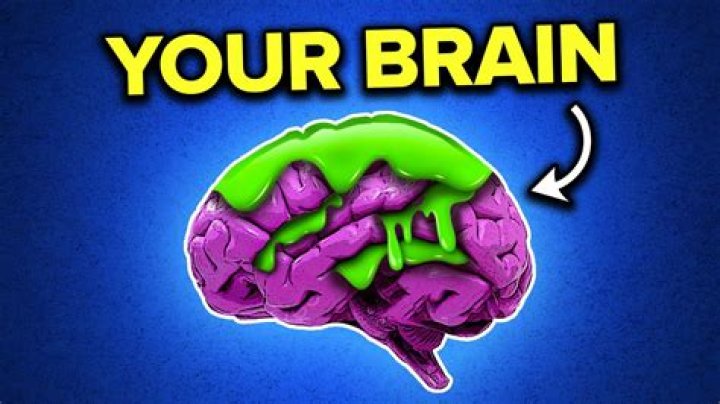 How wrinkly is my brain?