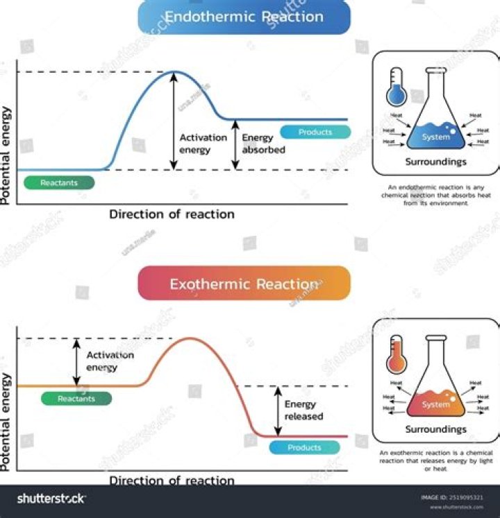 In an exothermic reaction heat is evolved and system?