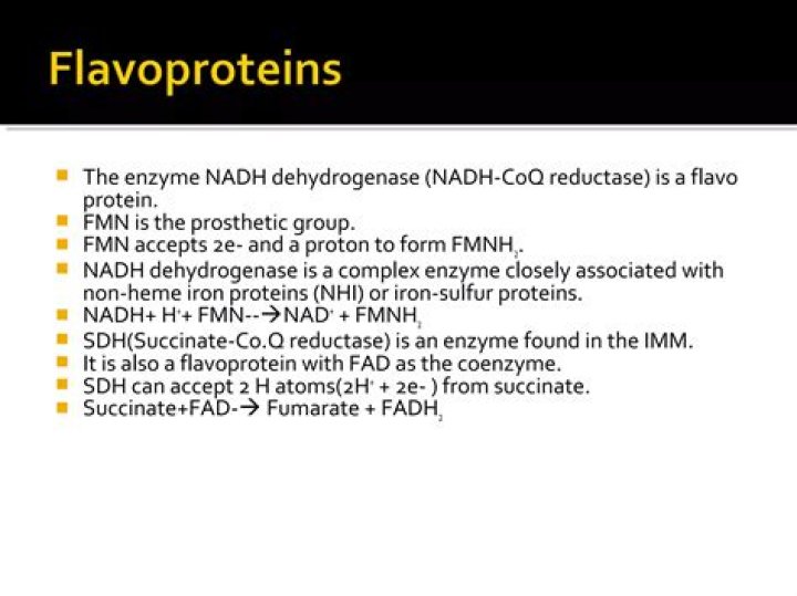 Is a flavoprotein fad?