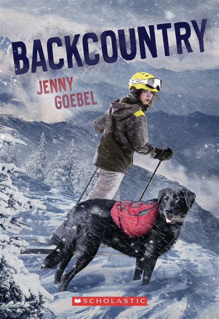 Is backcountry a good company?