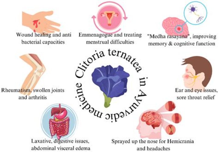 Is clitoria ternatea edible?