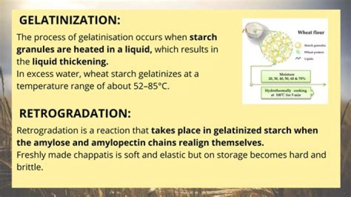 Is custard an example of gelatinisation?