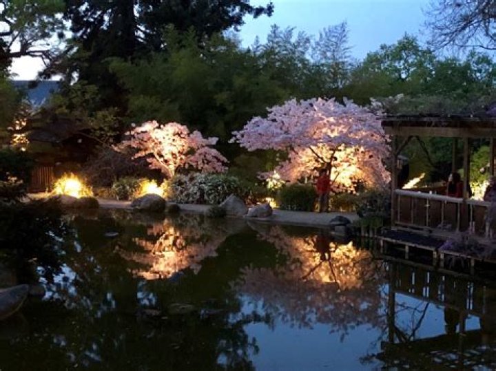 Is hakone gardens open?