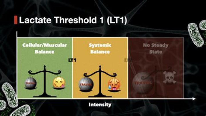 Is lactate threshold the same as anaerobic threshold?