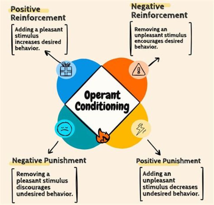 Is operant conditioning a theory?