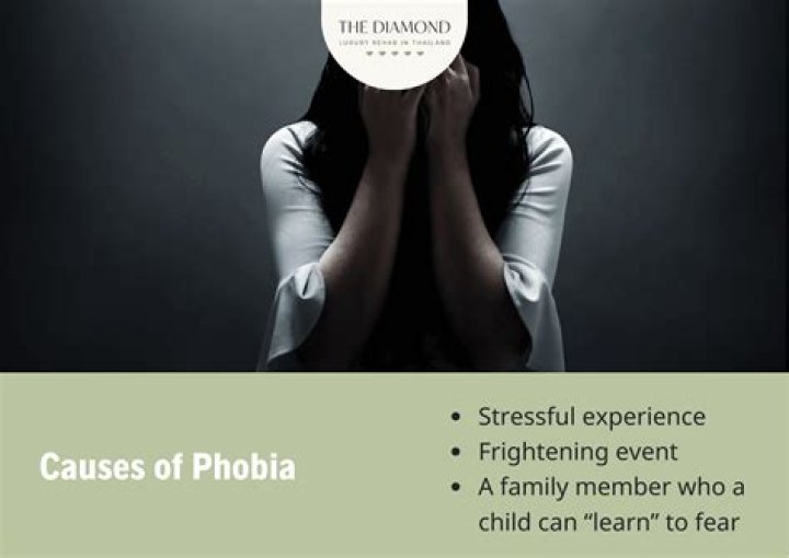 Is there a phobia of dirtiness?