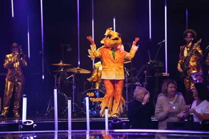 On the masked singer who is the sun?
