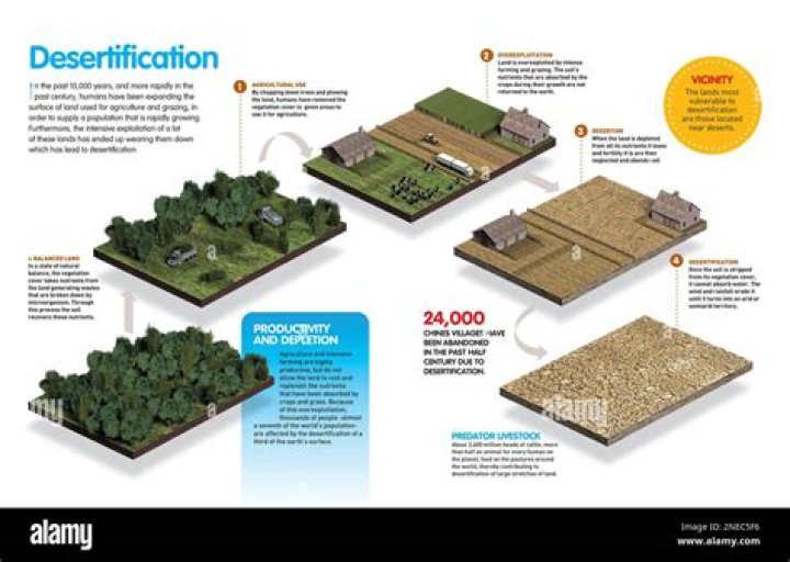 On the process of desertification?