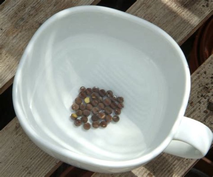 Should i soak moong dal?