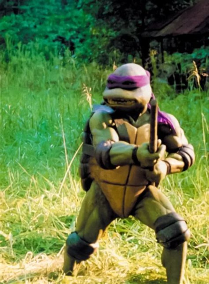 Was corey feldman a ninja turtle?