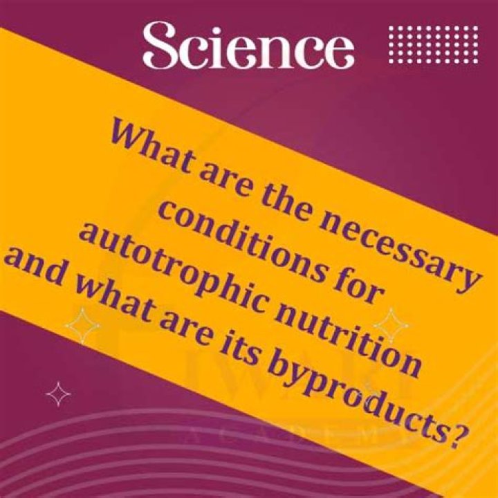 What are the necessary conditions for autotrophic nutrition?