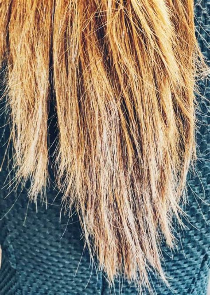 What damaged hair looks like?