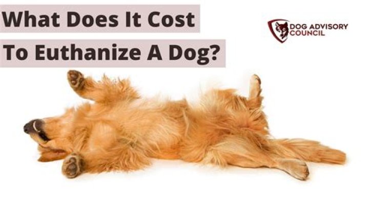 What does euthanized mean?