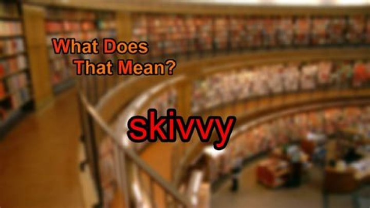 What does skivvy mean?
