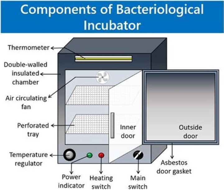 What is bacteriological incubator?