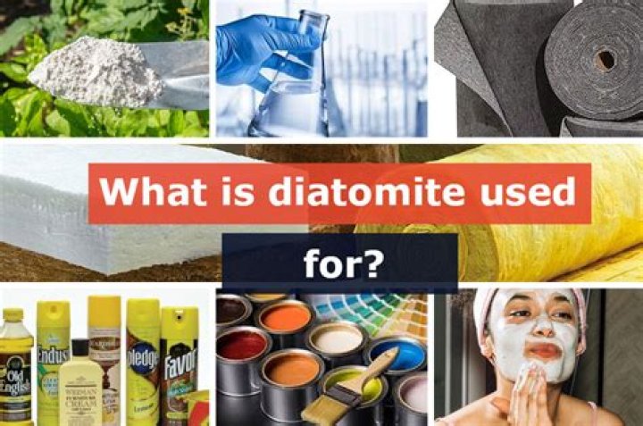 What is diatomite used for?