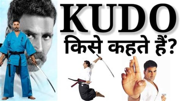 What is kudo martial arts?