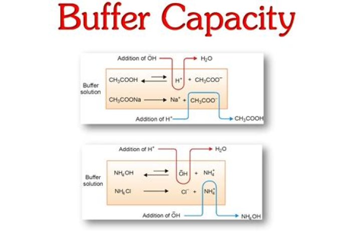 What is meant by buffer capacity?