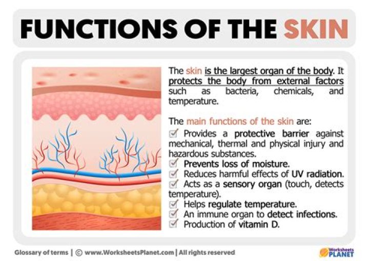 What is the function of a voca device?