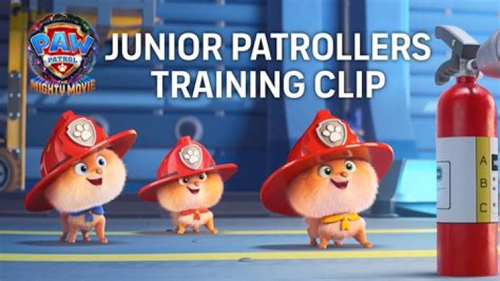 What is the meaning of patrollers?
