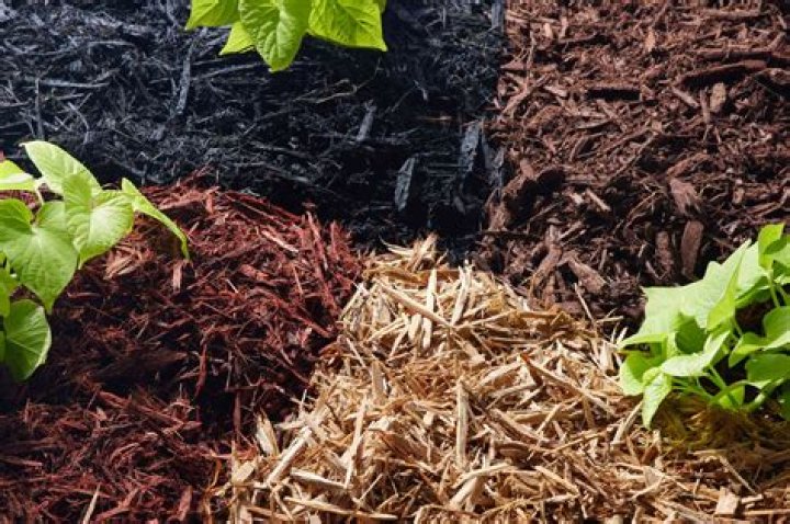 Whats better black or brown mulch?