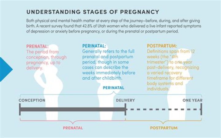 Whats the definition of perinatal?