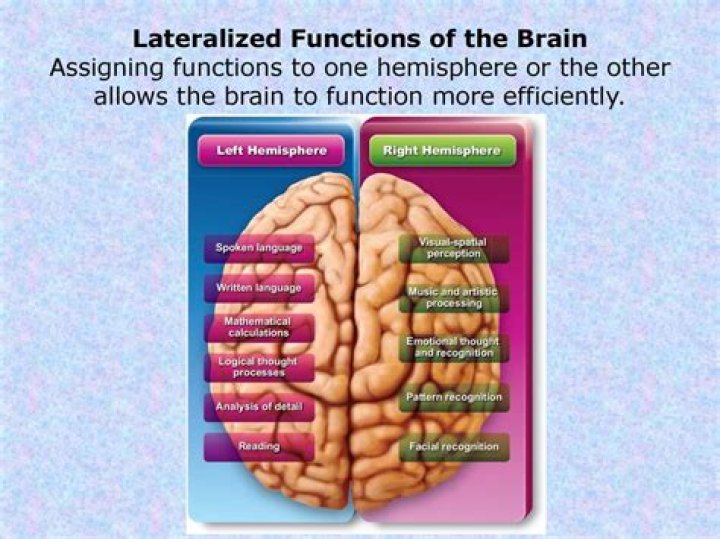 Whats the meaning of lateralized?