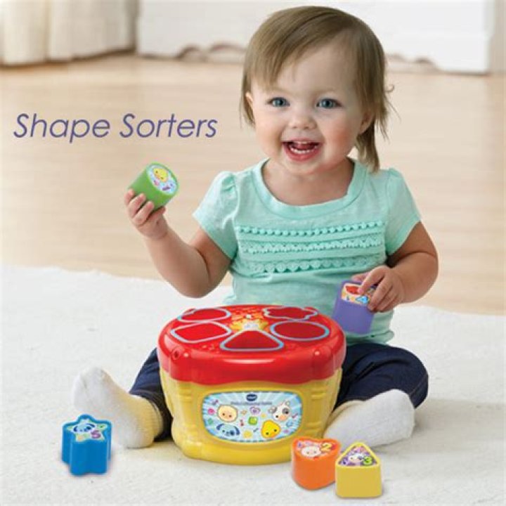 When can babies do shape sorters?