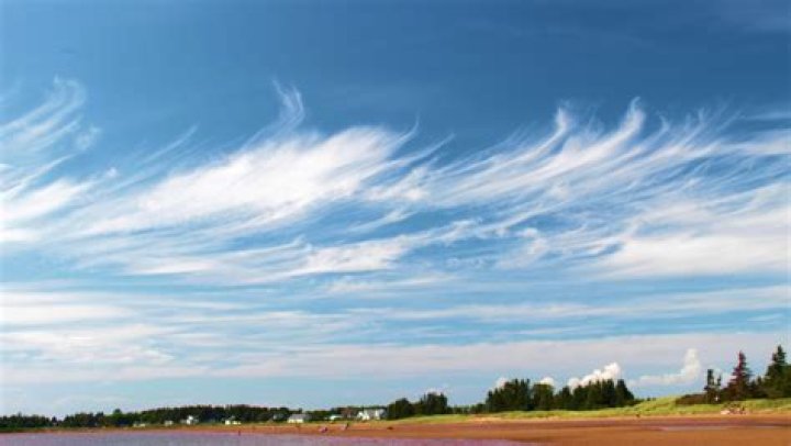 When does cirrus clouds appear?