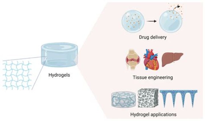 When to use hydrogels?