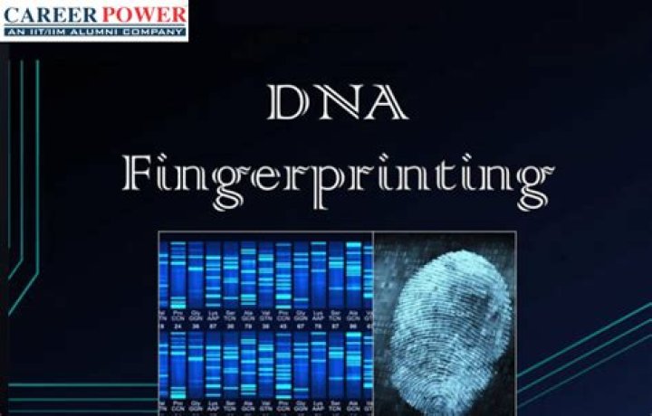 When was dna profiling invented?