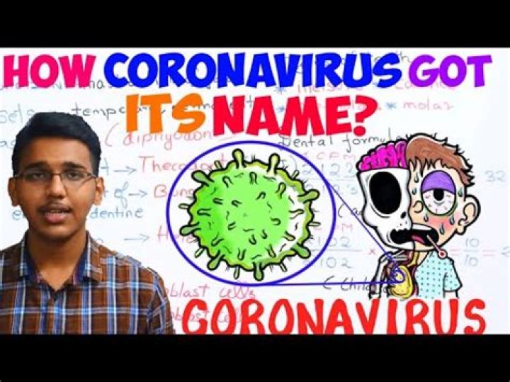 Where coronavirus got its name?