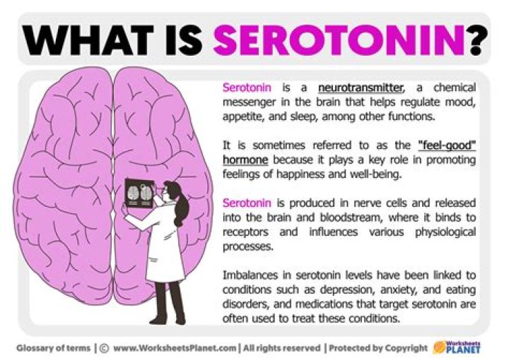 Where is serotonin made in the body?